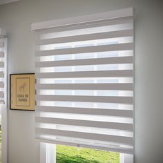 Sheer Zebra Blinds